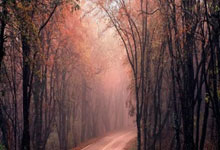 微信分身版哪个好用-微信分身版ios15