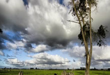 苹果微小白开后台代理,苹果微小白注册机,苹果微小白拿货