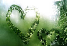 探聊SK管家,探聊SK双号,探聊茂盛爆粉,探聊雷神爆粉,探聊火力秒,安卓探聊菠萝秒,探聊风行秒,探聊香奈儿