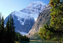 苹果分身激活码商城,24小时自动发卡商城,多开激活码商城,苹果多开激活码商城