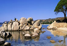 苹果分身激活码商城,24小时自动发卡商城,多开激活码商城,苹果多开激活码商城